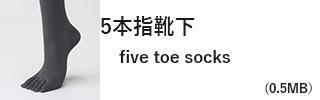 5本指靴下｜five toe socks